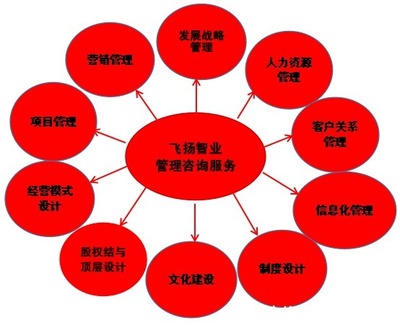 管理咨詢服務哪家強？專業(yè)信息咨詢機構的選擇與考量